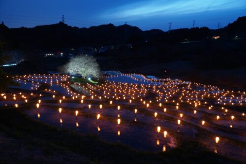 ホームページをリニューアルしました。