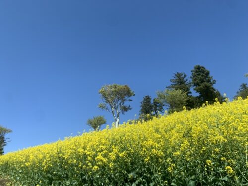 4月からご家族が就職予定の方へ！建設国保の脱退手続きをお忘れなく
